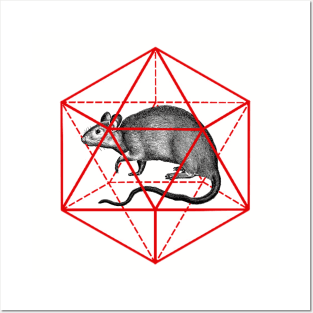 Rat in icosahedron Posters and Art